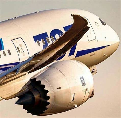 boeing 787 landing gear system.